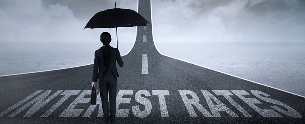 Interest Rates on Net Present Value